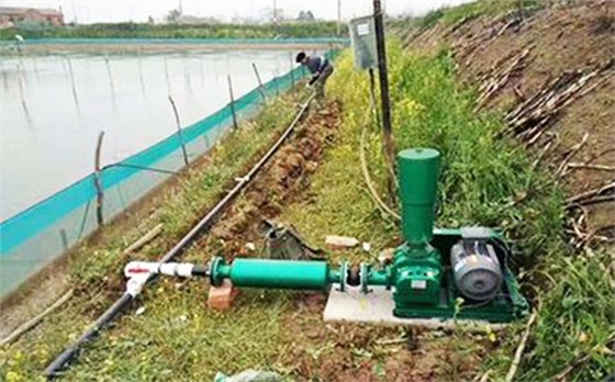 水产养殖增氧罗茨风机